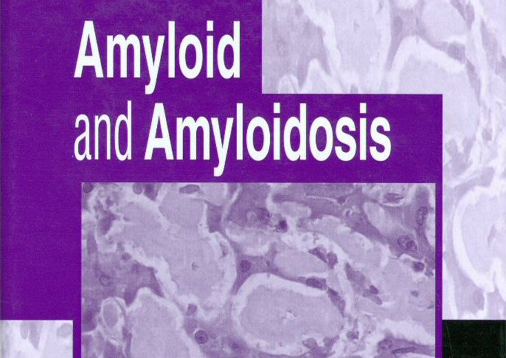 The X International Symposium on Amyloidosis